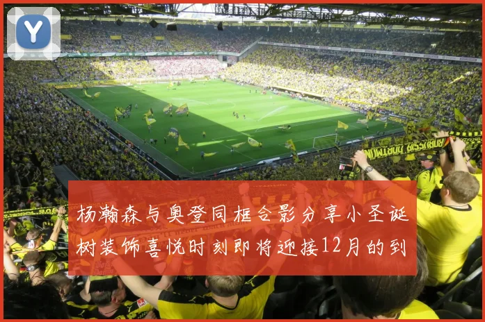 杨瀚森与奥登同框合影分享小圣诞树装饰喜悦时刻即将迎接12月的到来